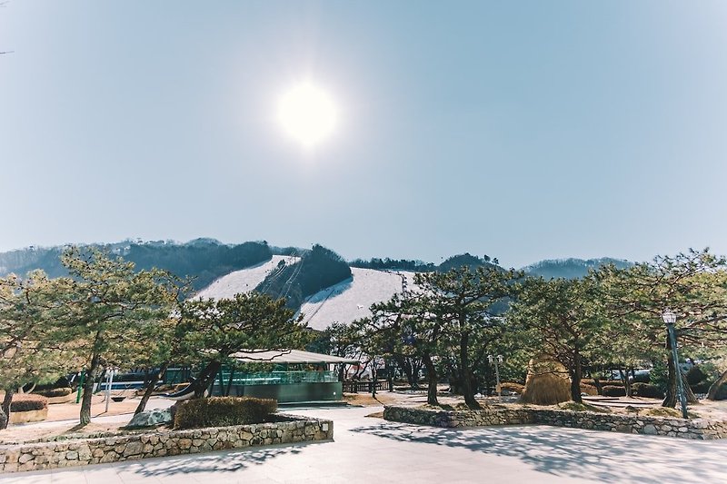 [1][국어과 본시 수업안][서경별곡 지도안](서경별곡 학습지도안, 서경별곡 수업지도안, 서경별곡 공개수업지도안, 서경별곡 교수학습지도, 서경별곡 수업계획서, 서경별곡 학습계획서, 서경[2..