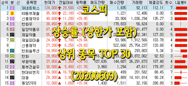 코스피/코스닥 상승률(상한가 포함) 상위 종목 TOP 30 (0609)