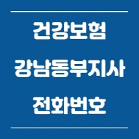 건강보험공단 강남동부지사 전화번호