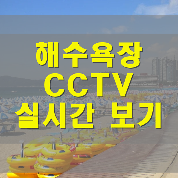 해수욕장 CCTV로 실시간 바다 영상 보기