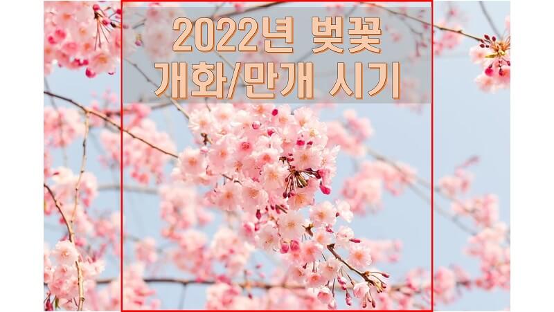 2022년 벚꽃은 언제 필까? 봄꽃 대명사 벚꽃의 전국 개화 및 만개 시기 확인하고 꽃구경 준비하세요!