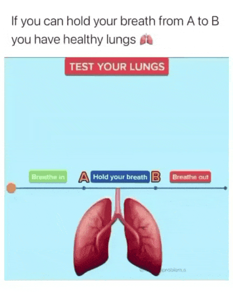 폐 건강 테스트.gif