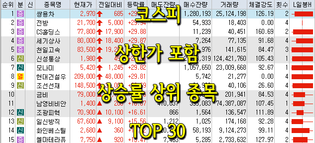 코스피/코스닥 상한가 포함 상승률 상위 종목 TOP 30 (0619)