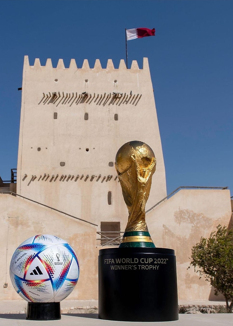 카타르 월드컵 본선 진출국가  정리