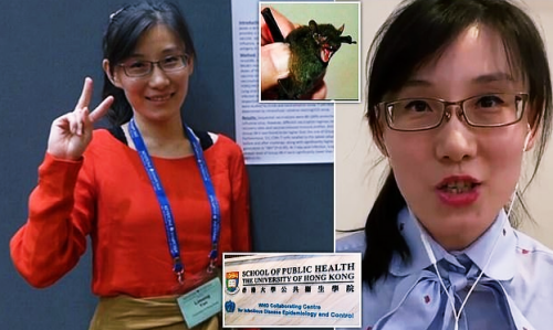 중국 학자, 코로나19 바이러스 우한 연구소에서 나왔다는 과학적 증거 곧 공개!