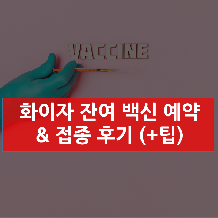 화이자 잔여 백신 예약 성공 & 접종 후기(+소소한 팁)