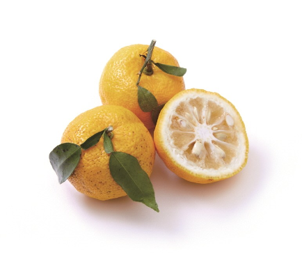 레몬보다 3배나 많은 비타민C가 들어 있는 유자! 11월 제철과일 유자의 효능과 부작용