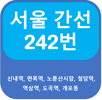 서울 242번버스 노선 정보 안내(신내역, 면목역,청담, 역삼)