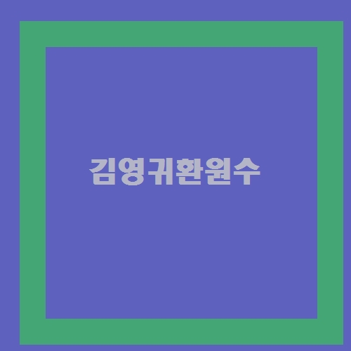 이번달 추천!@ 너만알기! 김영귀환원수 보물덩어리