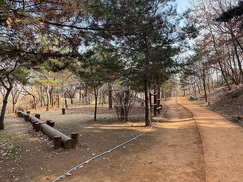 안동 아이와 가볼만한 경북도청 신도시 천년숲 산책하기 좋은 곳
