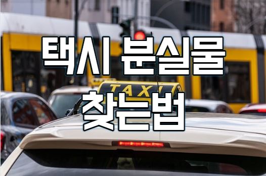 택시 분실물 찾기(feat.일어버린 물건 찾는 법)