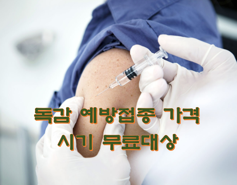 독감 예방접종 가격 시기 무료대상