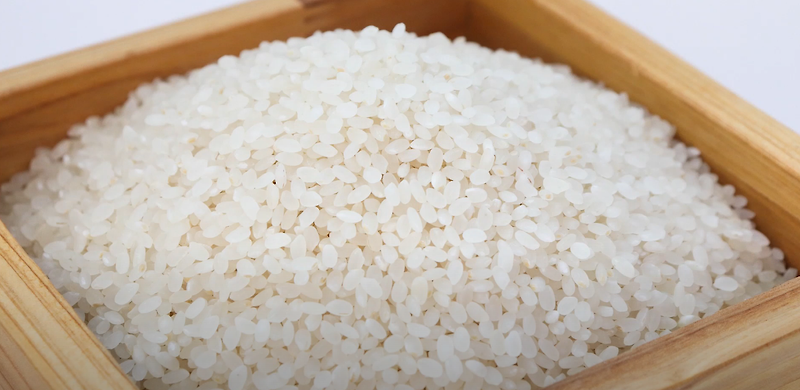 쌀눈 부작용 쌀눈 효능 한방에 정리!! 당뇨에 좋은 음식 현미쌀눈 섭취방법