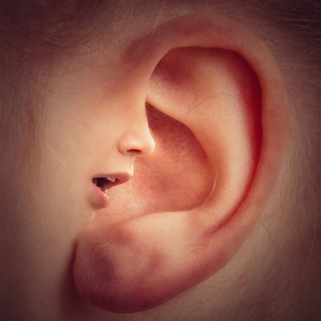 우리는 우리가 듣기를 기대하는 것을 듣는다 - 이편한보청기 청각센터