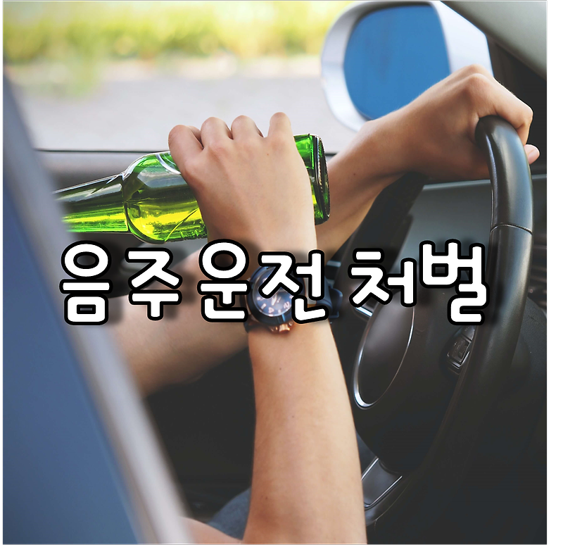 도로교통법 위반한 음주운전 면허취소와 벌금