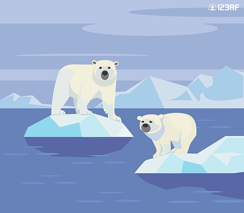  지구온난화 : 북극 동물 이미지 모음