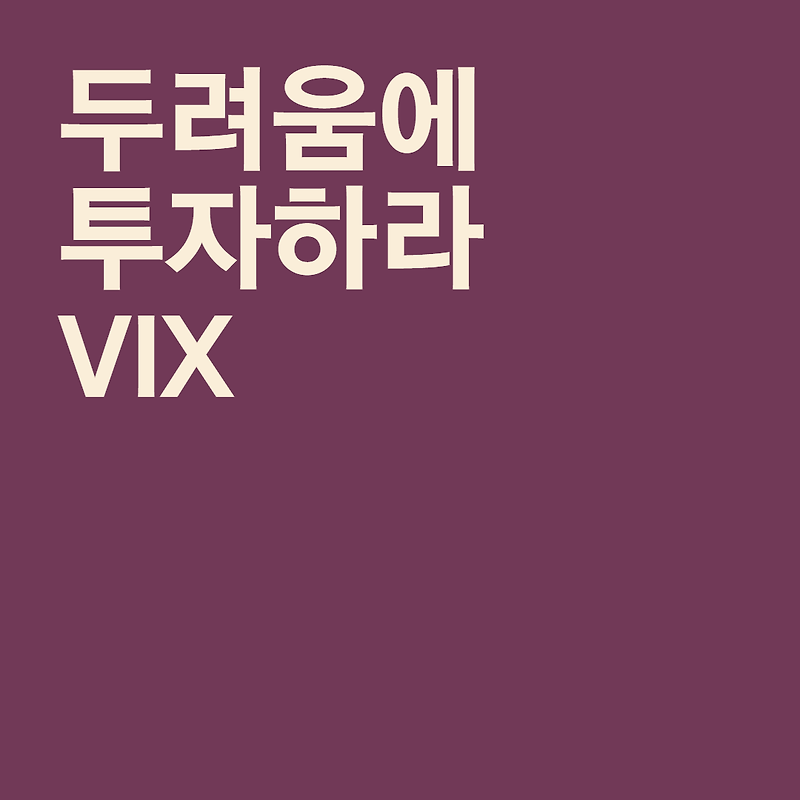 두려움에 투자하라 - VIX
