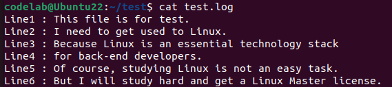 [Linux] 리눅스 cat 명령어 사용법, 리눅스 파일 내용 출력