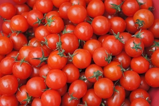 토마토의 효능 및 요리 방법 알아보기!