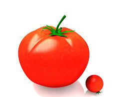 건강 식품 토마토의 10가지 효능