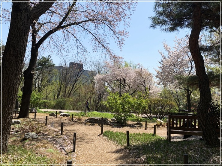 서울 이태원 걷기 좋은 산책길 - 남산야외식물원