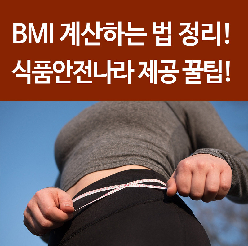 BMI 계산하기 남녀 고도비만, 복부비만 어린이 까지 정밀 검사 사이트 정리! 꿀팁!