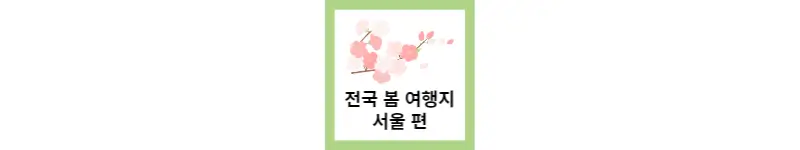전국 봄 벚꽃 여행지 추천 TOP4 서울편(feat.벚꽃축제)
