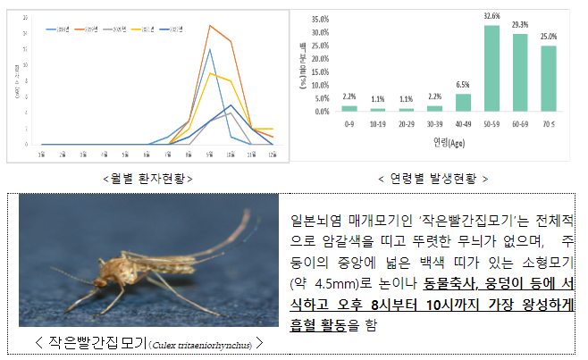 올해 일본뇌염 첫 환자 발생! 모기물림 주의 및 예방접종 당부(9.6.수)