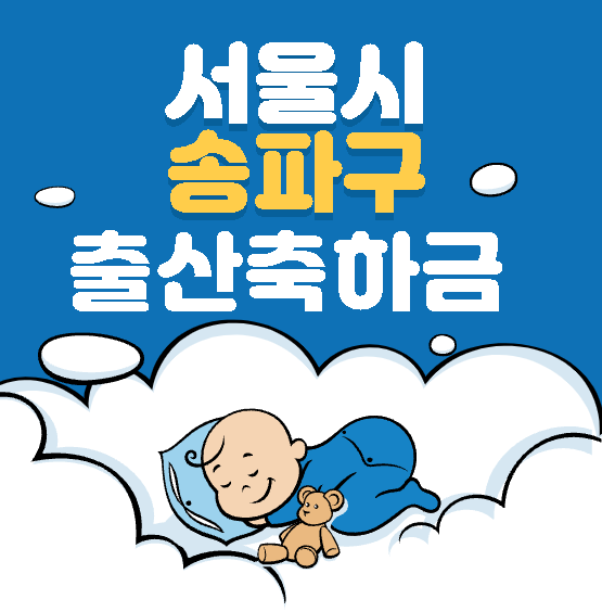 서울시 송파구 출산축하금 및 선물 총정리 (2022 출산혜택)