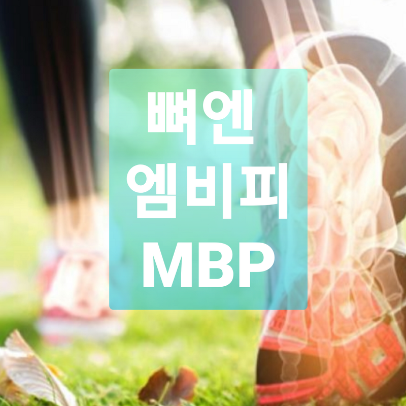 [의사] 뼈엔 엠비피 MBP 효과, 효능, 부작용