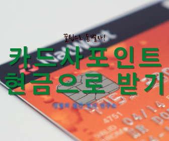 [적립포인트 통합조회!] 카드사포인트 현금으로 돌려받기!!