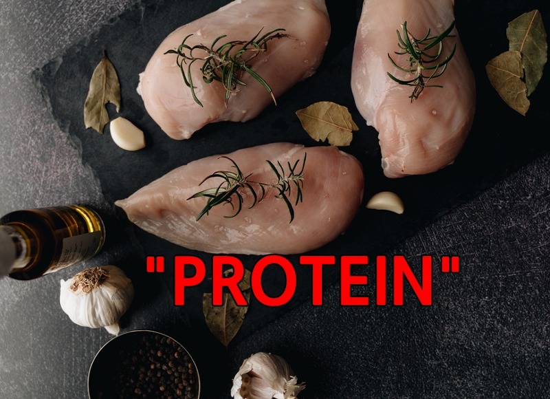 단백질 보충제 섭취할 것인가, 식물성단백질을 먹을 것인가?
