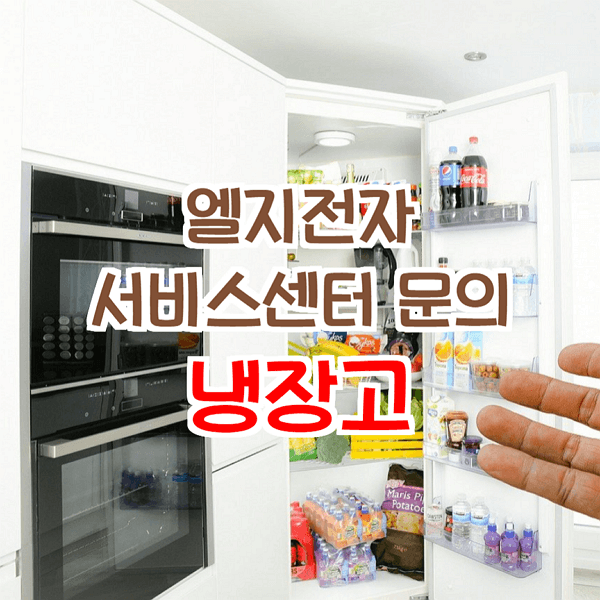 엘지전자 서비스센터 저세상 서비스