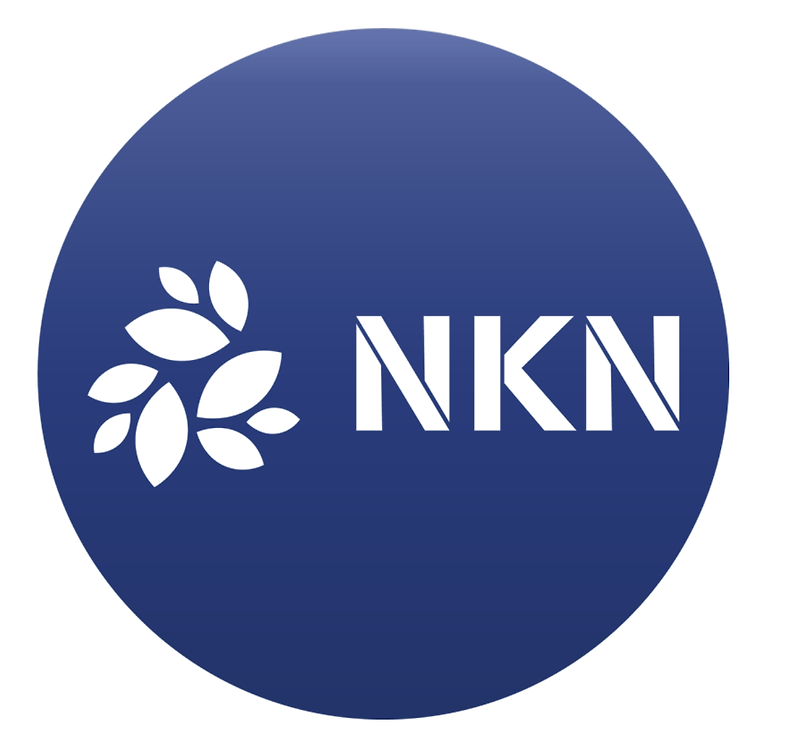 엔케이엔(NKN) 코인 전망