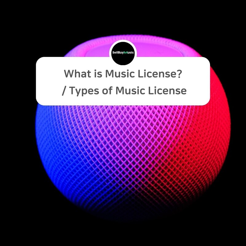 What is a Music License? / Types of Music Licensec