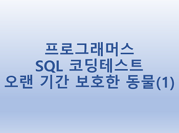 [프로그래머스] SQL 코딩테스트 오랜 기간 보호한 동물(1)