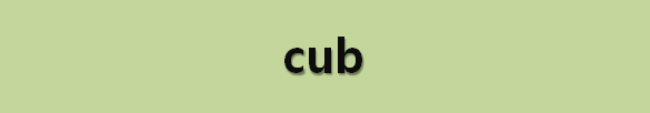 뉴스로 영어 공부하기: cub ((곰·사자·여우 등의) 새끼)