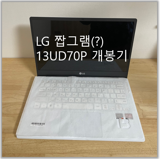 짭그램(?) LG 13UD70P-GX50K