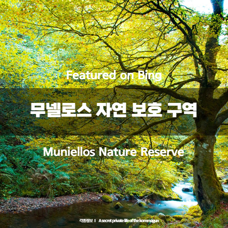 Featured on Bing 무넬로스 자연 보호 구역 Muniellos Nature Reserve