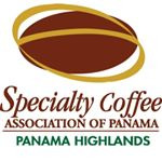 2019 Best of Panama Auction result (2019 베스트오브파나마 옥션결과, 2019 New 세계에서 가장 비싼커피의 탄생)