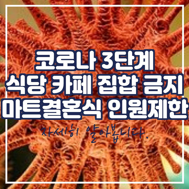 코로나 3단계 식당 영업 집합 금지 마트 결혼식 변동 사항 정리