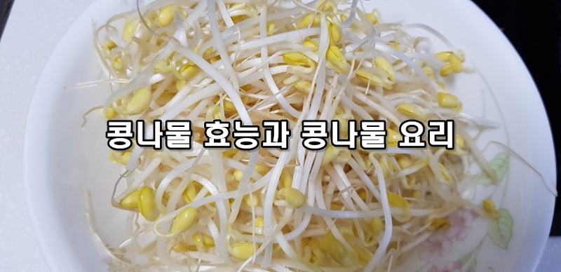 콩나물 효능과 콩나물 요리