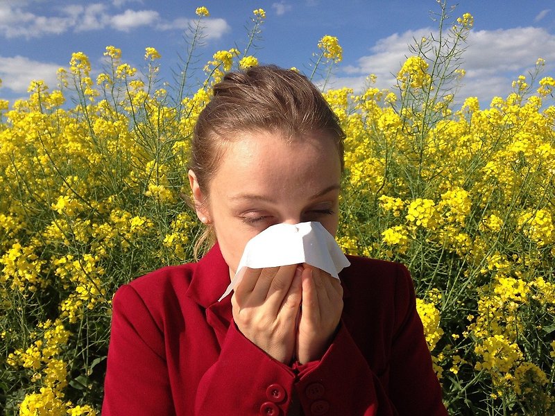알레르기 비염 원인 및 증상