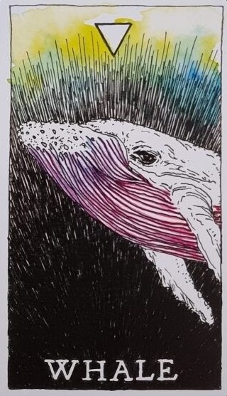 [오라클카드배우기/와일드언노운애니멀스피릿]The Wild Unknown Animal Spirit Whale  고래 해석 및 의미