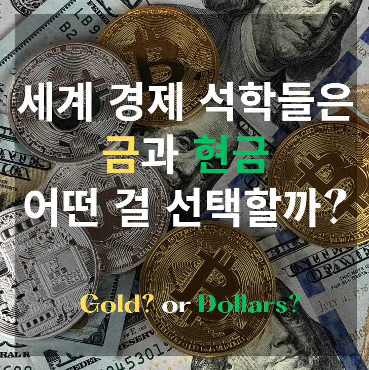 금 VS 현금 당신의 선택은?
