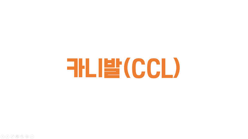 [해외주식] 카니발(CCL) 분석