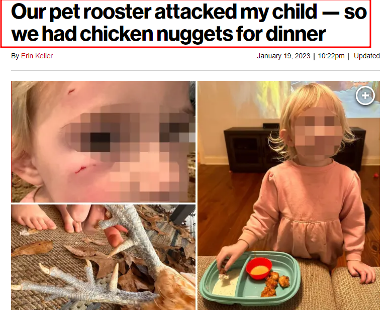 자신의 딸 공격한 반려동물 수탉 치킨 너겟으로 요리해 복수 인증한 여성