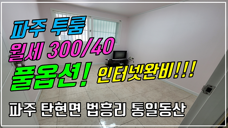 파주 탄현면 법흥리투룸/통일동산투룸/헤이리투룸/신세계첼시아울렛투룸 월세 300/40만 인터넷완비 풀옵션 개방감 좋은 남향집 가성비 좋은 깔끔한 투룸