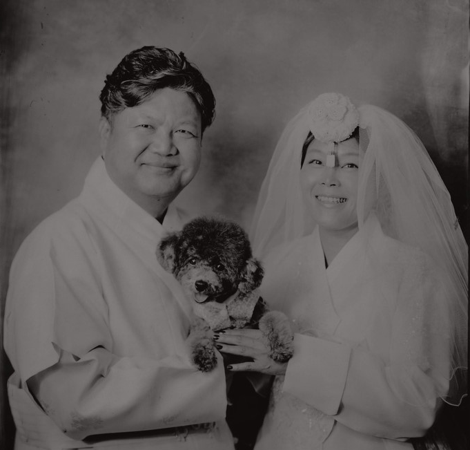 [은근중독 희린] 결혼기념일, 등대사진관에서 콩이와 함께 습판식 사진 찍기