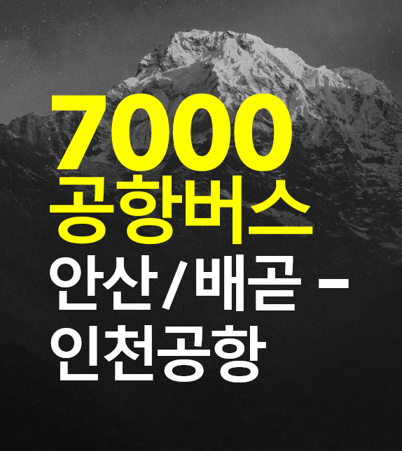 7000 인천공항 버스 / 안산, 시흥, 배곧 / 공항버스 노선도, 요금, 예약, 티머니GO, N7000